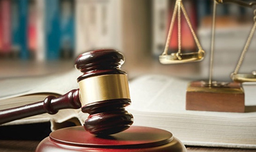 Litigation Support